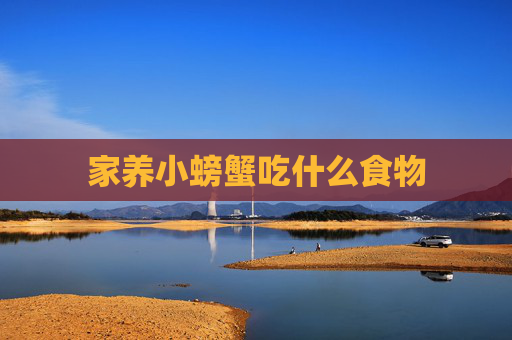 家养小螃蟹吃什么食物