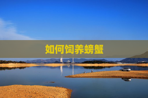 如何饲养螃蟹