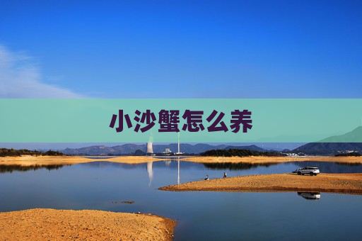 小沙蟹怎么养