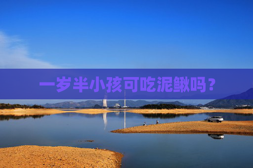 一岁半小孩可吃泥鳅吗？