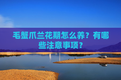 毛蟹爪兰花期怎么养？有哪些注意事项？