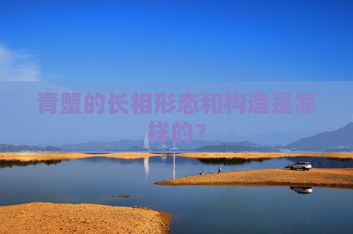 青蟹的长相形态和构造是怎样的？