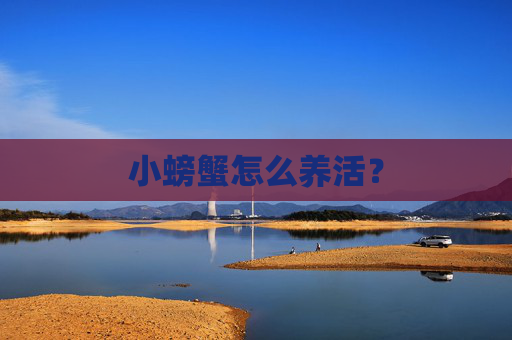 小螃蟹怎么养活？