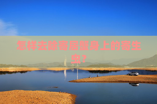 怎样去除寄居蟹身上的寄生虫？