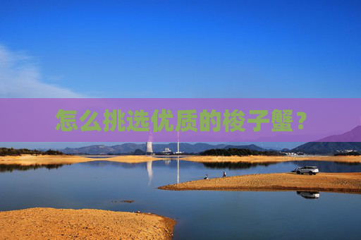 怎么挑选优质的梭子蟹？