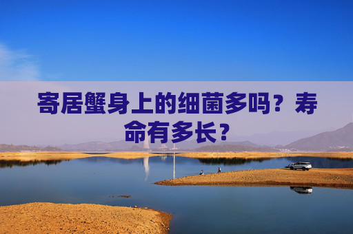 寄居蟹身上的细菌多吗?寿命有多长?
