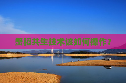 蟹稻共生技术该如何操作？