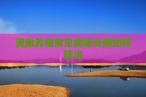 泥鳅养殖常见病肠炎病如何防治
