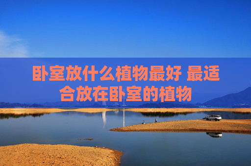 卧室放什么植物最好 最适合放在卧室的植物