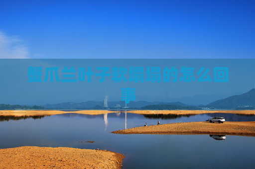 蟹爪兰叶子软塌塌的怎么回事