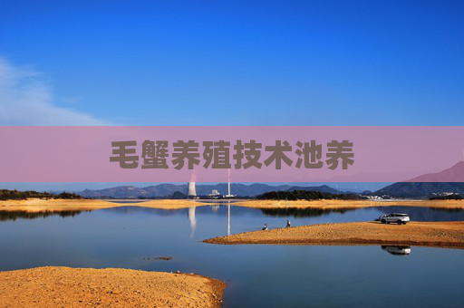 毛蟹养殖技术池养