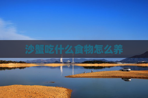 沙蟹吃什么食物怎么养