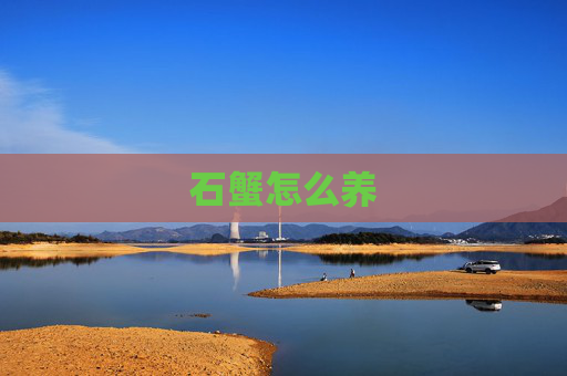 石蟹怎么养