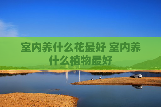 室内养什么花最好 室内养什么植物最好
