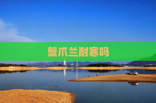 蟹爪兰耐寒吗