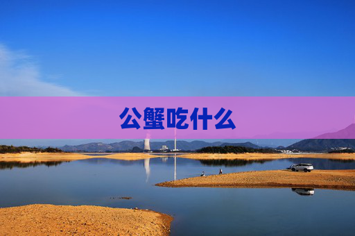 公蟹吃什么