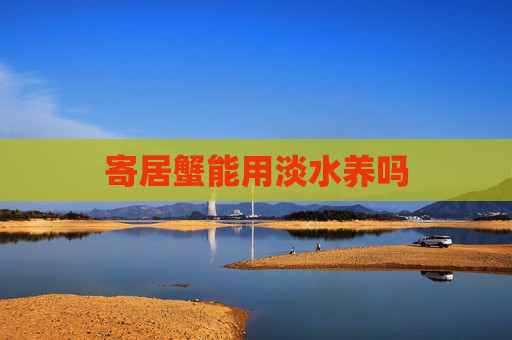 寄居蟹能用淡水养吗