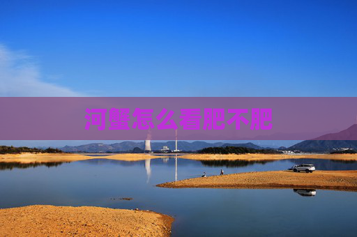 河蟹怎么看肥不肥