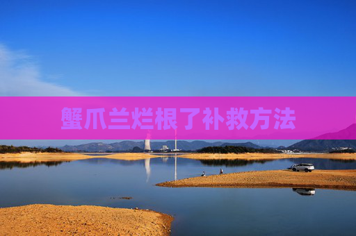 蟹爪兰烂根了补救方法