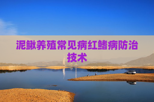 泥鳅养殖常见病红鳍病防治技术
