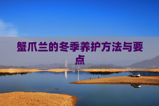 蟹爪兰的冬季养护方法与要点