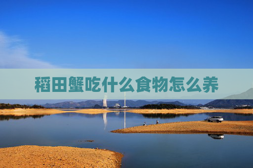 稻田蟹吃什么食物怎么养