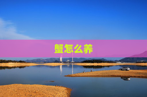 蟹怎么养