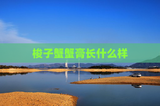 梭子蟹蟹膏长什么样