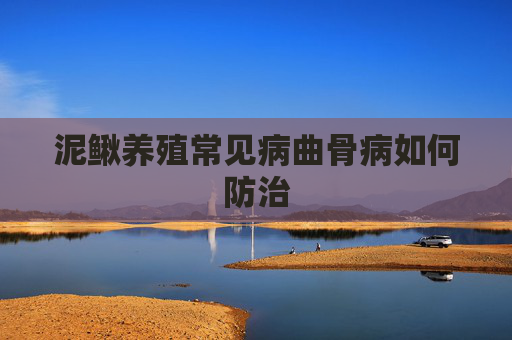 泥鳅养殖常见病曲骨病如何防治