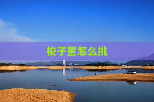 梭子蟹怎么挑
