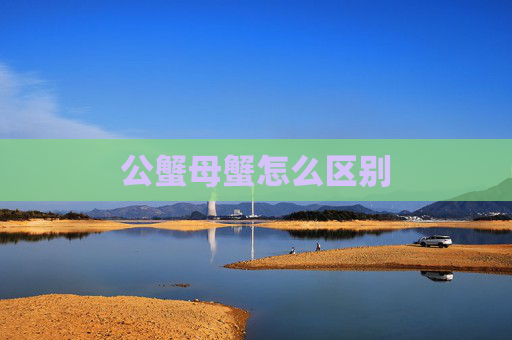 公蟹母蟹怎么区别