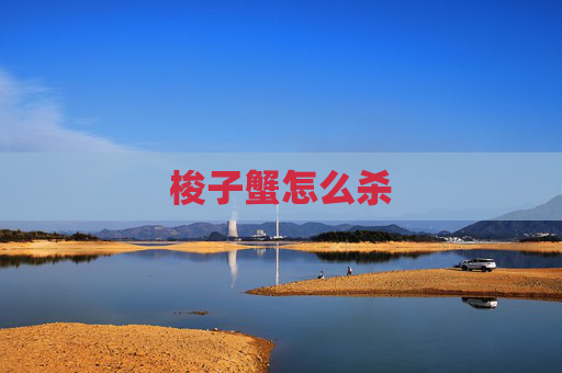 梭子蟹怎么杀