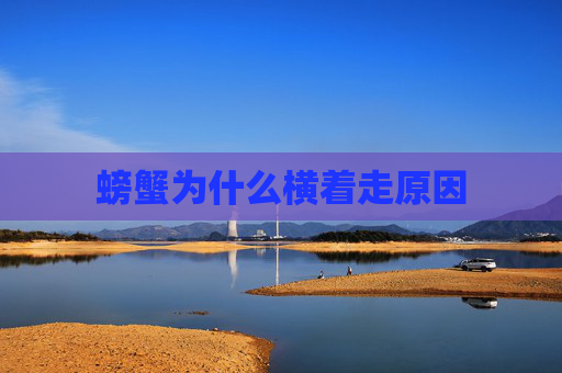 螃蟹为什么横着走原因