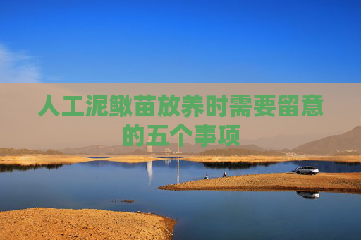 人工泥鳅苗放养时需要留意的五个事项