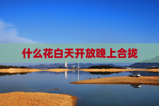 什么花白天开放晚上合拢
