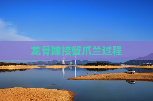 龙骨嫁接蟹爪兰过程