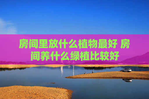 房间里放什么植物最好 房间养什么绿植比较好