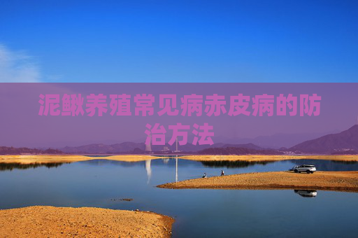 泥鳅养殖常见病赤皮病的防治方法