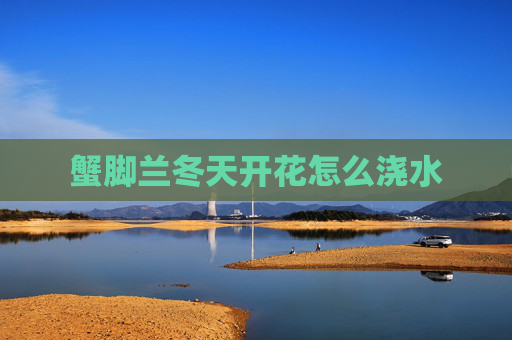 蟹脚兰冬天开花怎么浇水