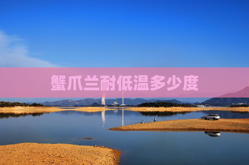 蟹爪兰耐低温多少度