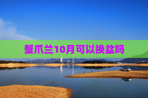蟹爪兰10月可以换盆吗