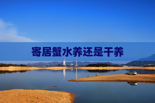 寄居蟹水养还是干养