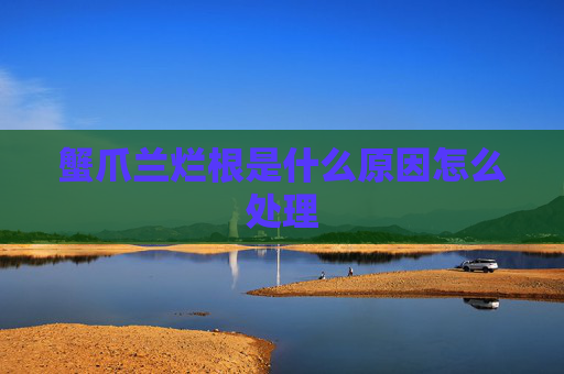 蟹爪兰烂根是什么原因怎么处理