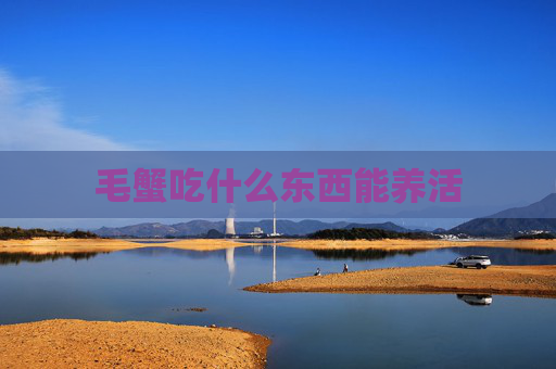 毛蟹吃什么东西能养活