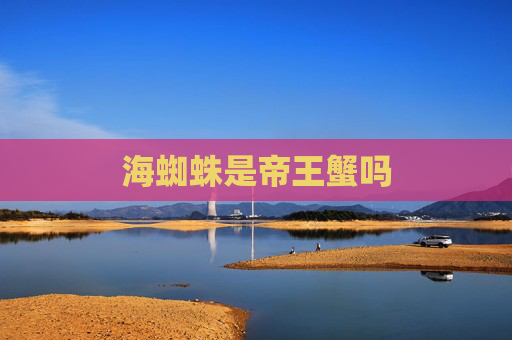 海蜘蛛是帝王蟹吗