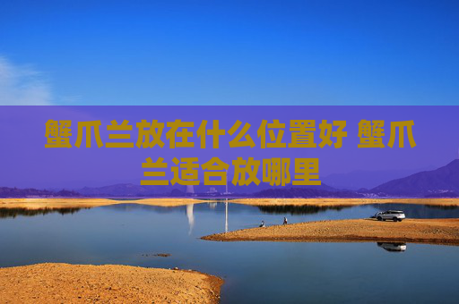 蟹爪兰放在什么位置好 蟹爪兰适合放哪里