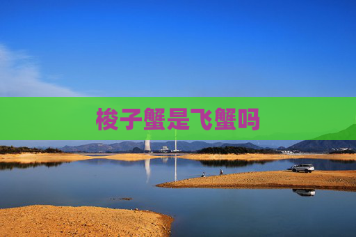 梭子蟹是飞蟹吗