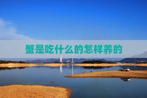 蟹是吃什么的怎样养的
