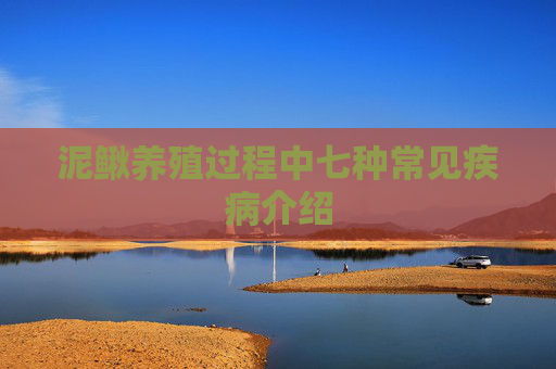 泥鳅养殖过程中七种常见疾病介绍