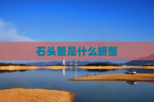 石头蟹是什么螃蟹